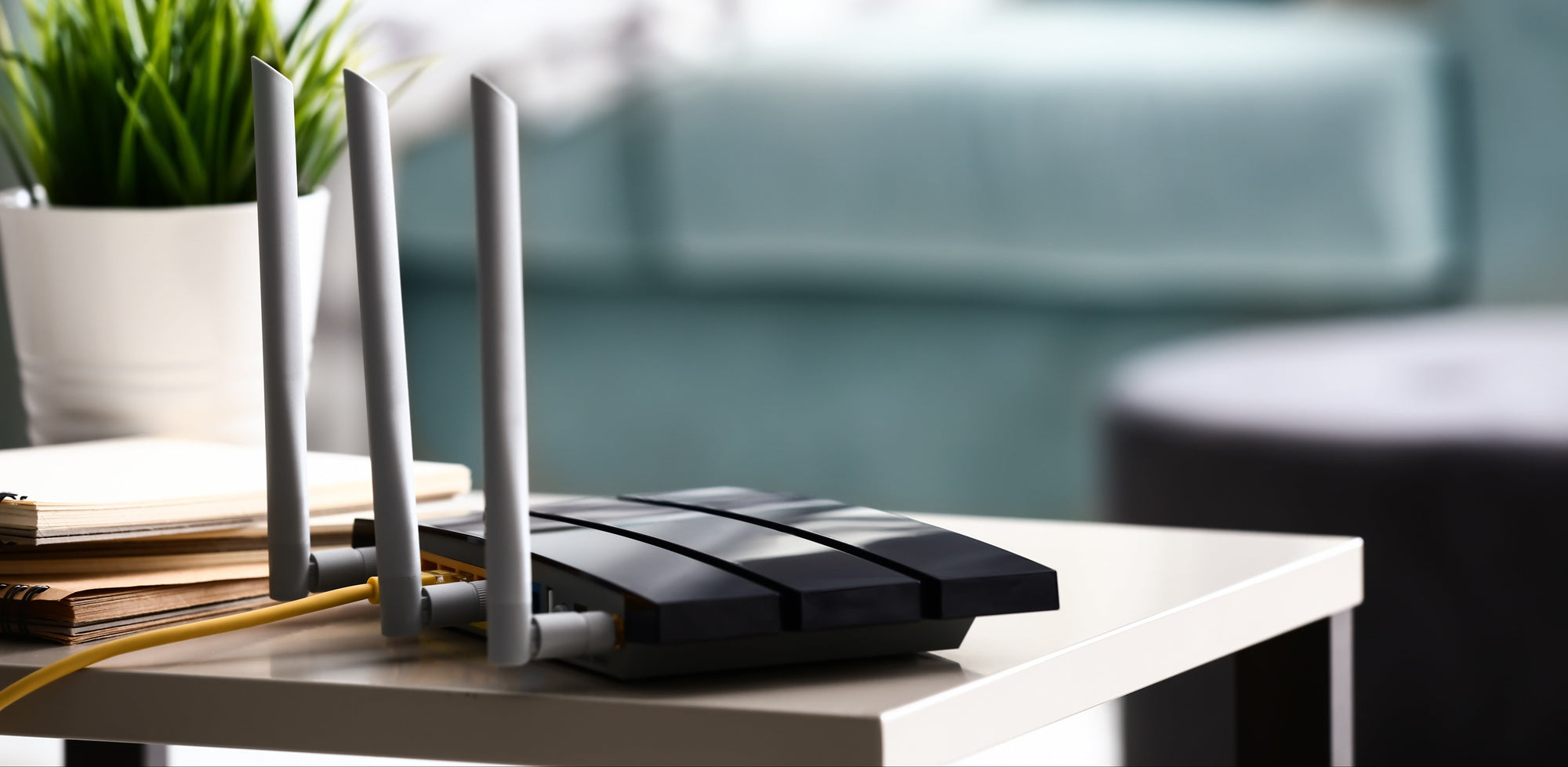 Router & Netzwerk