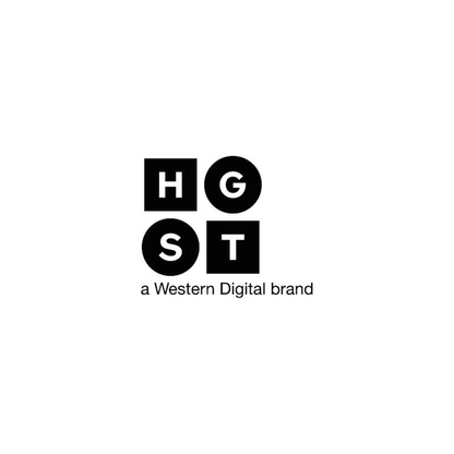 HGST Ultrastar C15K600 300GB Festplatte intern HUC156030CSS200 2,5 Zoll HDD SAS