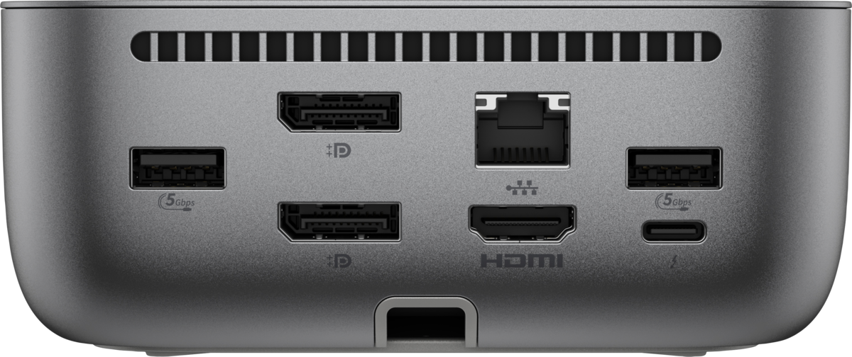 HP 100 W Thunderbolt Dockingstation G6